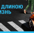 Оперативно-профилактическое мероприятие «Пешеходный переход» - Городской округ Ликино-Дулево